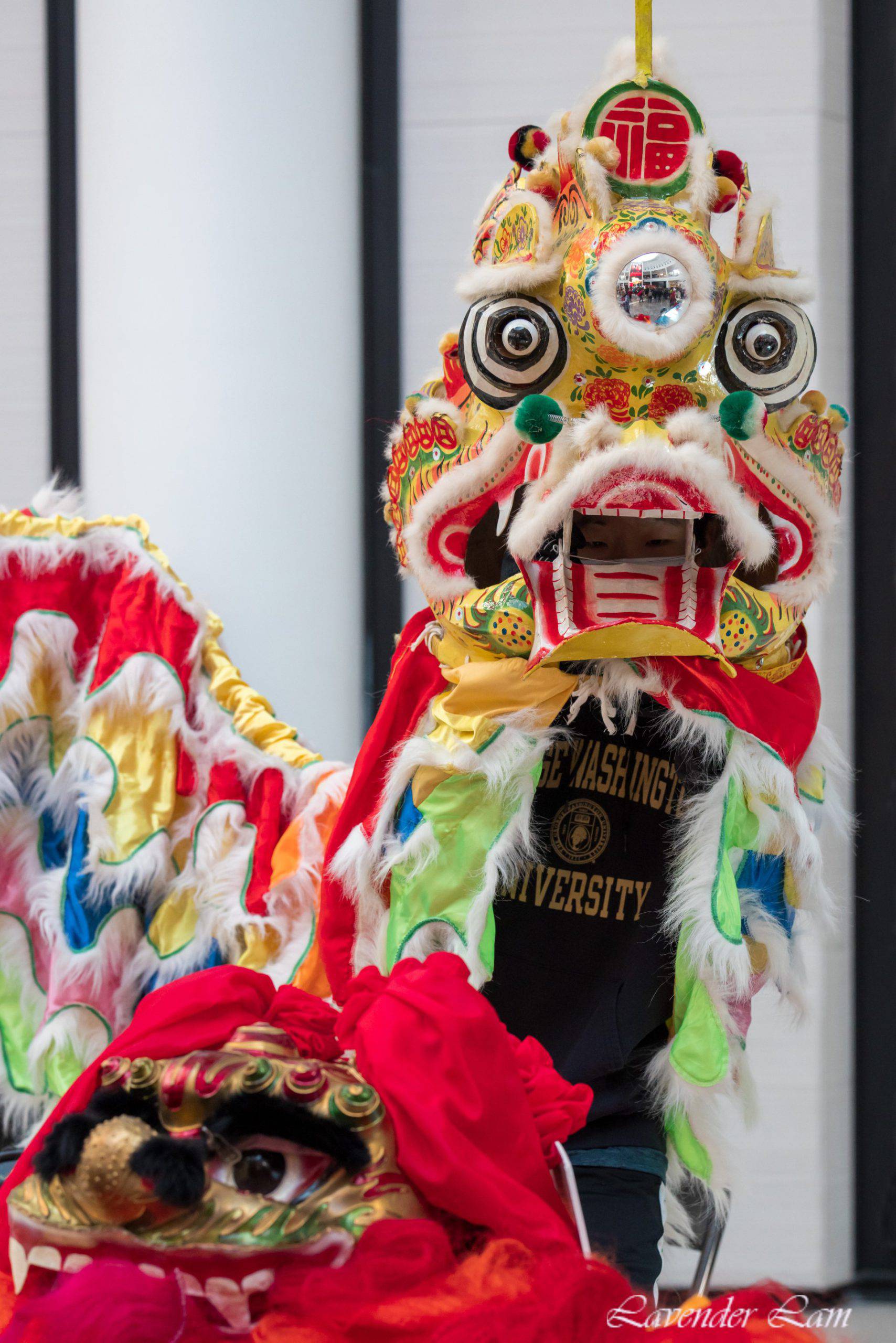 Chinese New Year, 2024